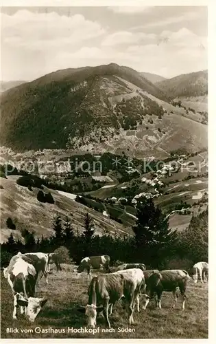 AK / Ansichtskarte Todtmoos Gasthaus Pension Hochkopf Kuehe Kat. Todtmoos