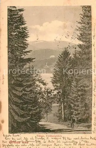 AK / Ansichtskarte Titisee Feldbergblick Kat. Titisee Neustadt