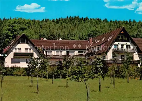 AK / Ansichtskarte Neuhaus Solling Hotel Pension Schwalbenhof Kat. Holzminden