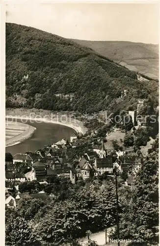 AK / Ansichtskarte Neckarsteinach Burg Schwalbennest Kat. Neckarsteinach