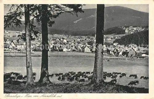 AK / Ansichtskarte Braunlage Adamsblick  Kat. Braunlage Harz