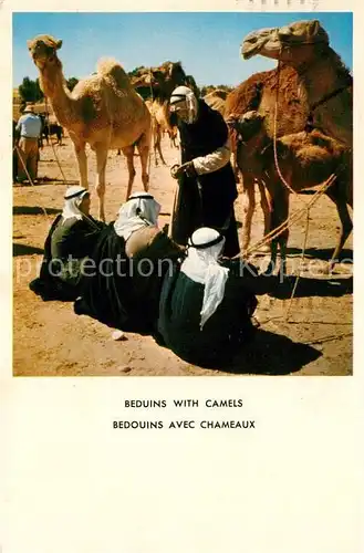AK / Ansichtskarte Kamele Beduins with Camels  Kat. Tiere