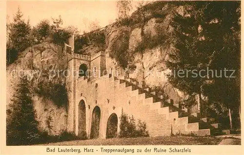 AK / Ansichtskarte Bad Lauterberg Treppenaufgang Ruine Scharzfels  Kat. Bad Lauterberg im Harz