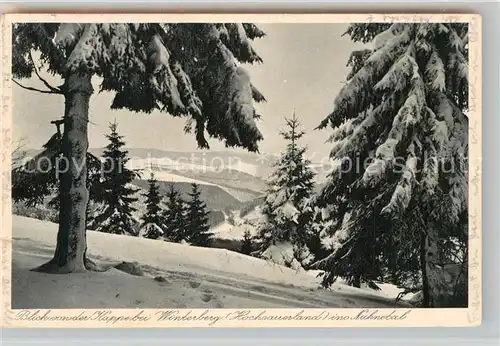 AK / Ansichtskarte Winterberg Hochsauerland Blick ins Nuhnetal  Kat. Winterberg