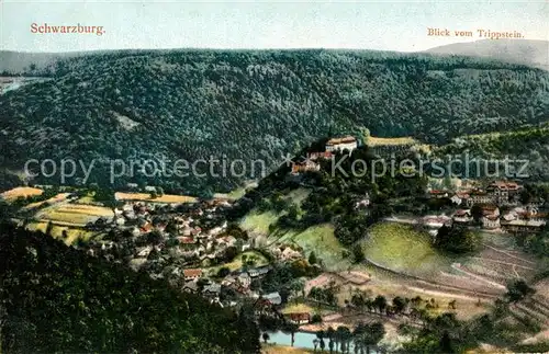 AK / Ansichtskarte Schwarzburg Thueringer Wald Blick vom Trippstein Kat. Schwarzburg