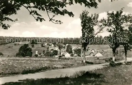 AK / Ansichtskarte Friedrichshoehe Sachsenbrunn Panorama Kat. Sachsenbrunn