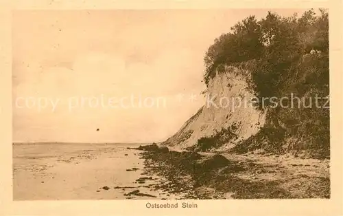 AK / Ansichtskarte Stein Ostsee Steilkueste