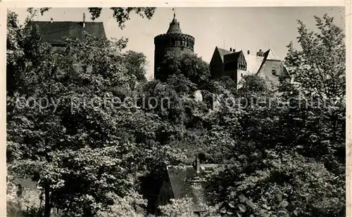 AK / Ansichtskarte Leisnig Burg Mildenstein Kat. Leisnig