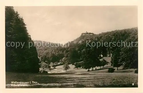 AK / Ansichtskarte Waltershausen Gotha Kraeuterwiese Landschaftspanorama Kat. Waltershausen