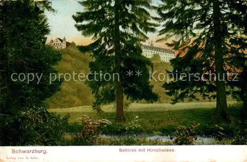 AK / Ansichtskarte Schwarzburg Thueringer Wald Schloss mit Hirschwiese Kat. Schwarzburg