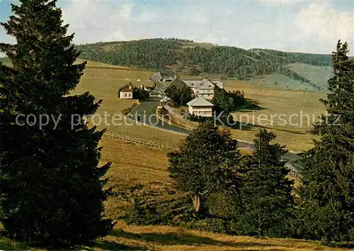 AK / Ansichtskarte Schauinsland Halden Hotel Kat. Oberried