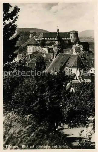 AK / Ansichtskarte Tuebingen Stiftskirche und Schloss Kat. Tuebingen