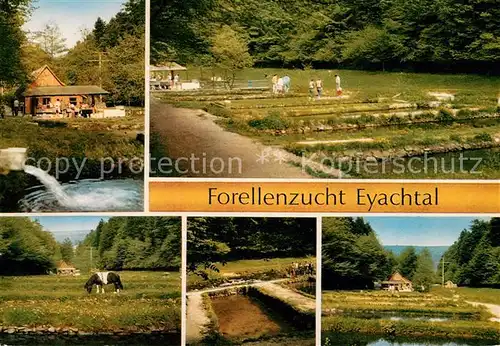 AK / Ansichtskarte Eyach Eutingen Gaeu Forellenzucht Eyachtal Teilansichten Kat. Eutingen im Gaeu