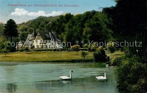 AK / Ansichtskarte Darmstadt Oberwaldhaus Steinbrueckenteich Schwaene Kat. Darmstadt