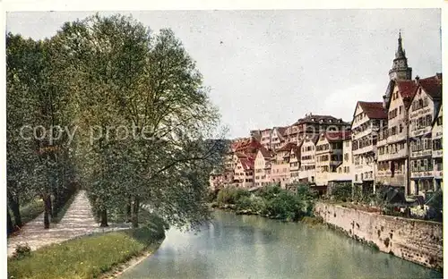 AK / Ansichtskarte Tuebingen Neckarpartie Platanenallee Kat. Tuebingen