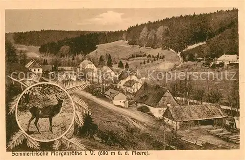 AK / Ansichtskarte Morgenroethe Rautenkranz Sommerfrische Hirsch Kat. Morgenroethe Rautenkranz