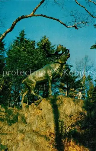 AK / Ansichtskarte St Johns Newfoundland and Labrador The Caribou Bowring Park Kat. Kanada