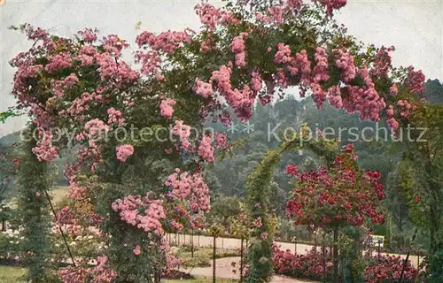 AK / Ansichtskarte Stuttgart Rosengarten Kat. Stuttgart