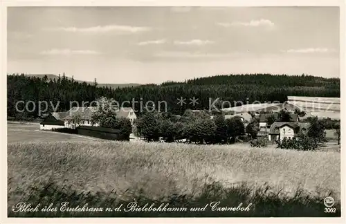 AK / Ansichtskarte Oppach Blick ueber Erntekranz nach dem Bielebohkamm und Czorneboh Kat. Oppach