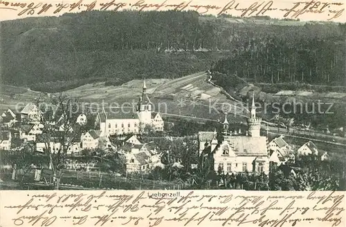 AK / Ansichtskarte Liebenzell Bad Panorama Kirche Kat. Bad Liebenzell