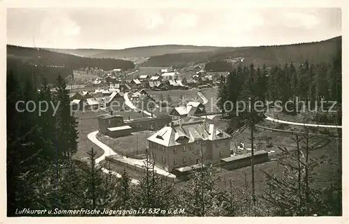 AK / Ansichtskarte Jaegersgruen Panorama Kat. Tannenbergsthal Vogtland