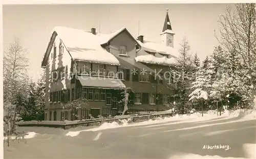 AK / Ansichtskarte Albertsberg Auerbach Winterlandschaft