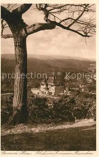 AK / Ansichtskarte Gernrode Harz Blick vom einsamen Baeumchen Kat. Gernrode Harz