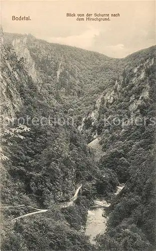 AK / Ansichtskarte Bodetal Harz Hirschgrund Bick von der Schnurre Kat. Treseburg