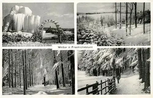 AK / Ansichtskarte Friedrichsbrunn Harz Winterlandschaft Kat. Friedrichsbrunn