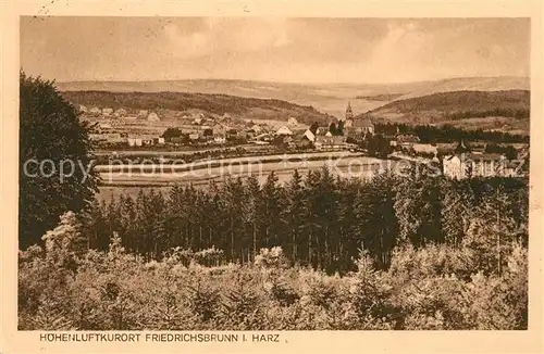 AK / Ansichtskarte Friedrichsbrunn Harz Panorama Kat. Friedrichsbrunn