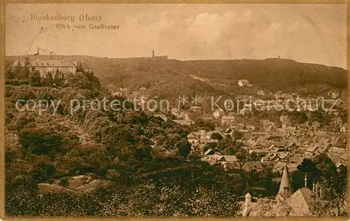 AK / Ansichtskarte Blankenburg Harz Panorama vom Grossvater Kat. Blankenburg