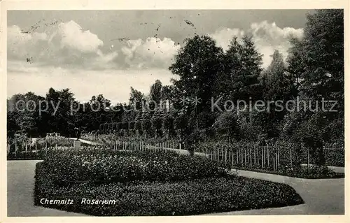 AK / Ansichtskarte Chemnitz Rosarium Kat. Chemnitz