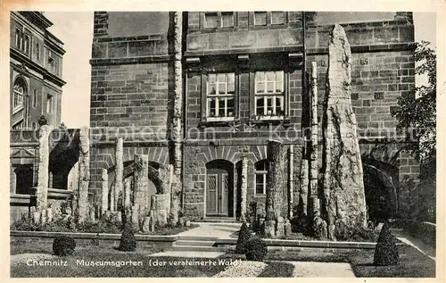 AK / Ansichtskarte Chemnitz Museumgarten versteinerter Wald Kat. Chemnitz