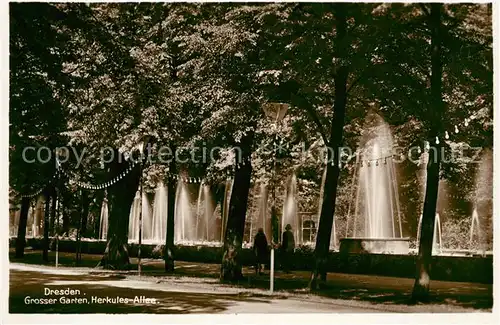 AK / Ansichtskarte Dresden Grosser Garten Herkules Allee Kat. Dresden Elbe