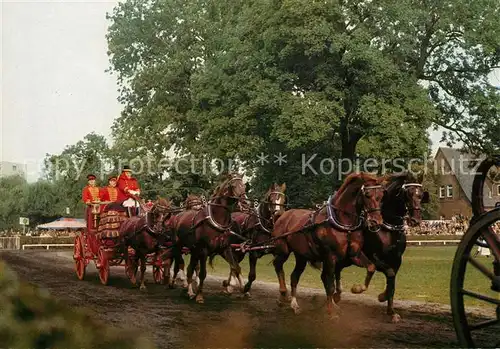 AK / Ansichtskarte Pferdekutschen Hengstparade Celle Kat. Tiere