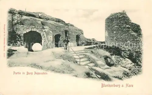 AK / Ansichtskarte Blankenburg Harz Burg Regenstein Kat. Blankenburg