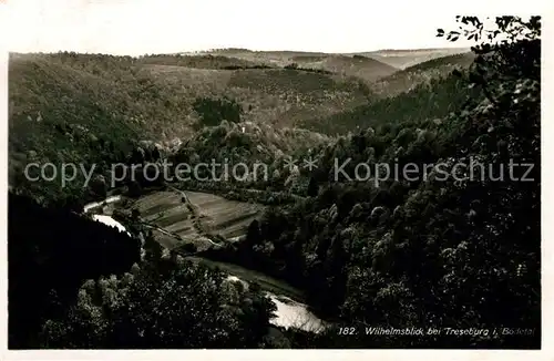 AK / Ansichtskarte Treseburg Harz Wilhelmsblick Kat. Treseburg