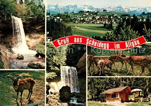 AK / Ansichtskarte Scheidegg Allgaeu Rohrachschlucht mit Wasserfaellen Panorama Tierpark Kat. Scheidegg