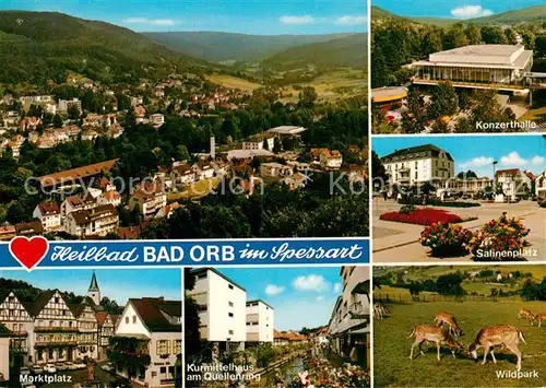 AK / Ansichtskarte Bad Orb Panorama Marktplatz Kurmittelhaus Konzerthalle Salinenplatz Wildpark Kat. Bad Orb