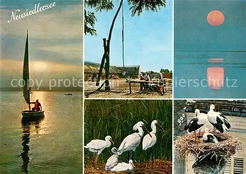 AK / Ansichtskarte Neusiedl See Sonnenuntergang am Neusiedlersee Pusztabrunnen Loeffler Familie und Storchenhort Kat. Neusiedl am See