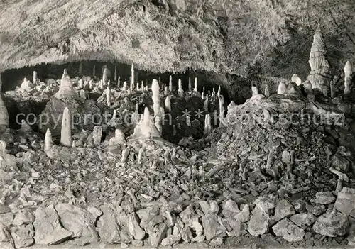 AK / Ansichtskarte Hoehlen Caves Grottes Baumannshoehle Maerchenwald Baerenfriedhof Ruebeland  Kat. Berge