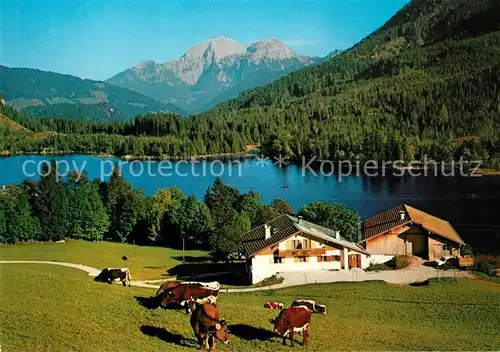 AK / Ansichtskarte Hintersee Berchtesgaden Bauernhof Blick ueber den See zum Hohen Goell Berchtesgadener Alpen Kat. Berchtesgaden