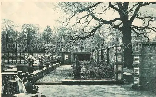 AK / Ansichtskarte Dresden Gartenbau Ausstellung  Kat. Dresden Elbe