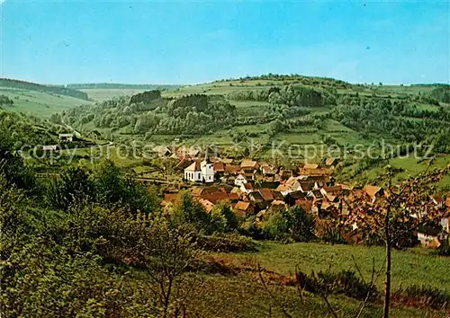 AK / Ansichtskarte Lohrhaupten Panorama Kat. Floersbachtal