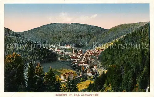 AK / Ansichtskarte Triberg Schwarzwald Panorama Kat. Triberg im Schwarzwald