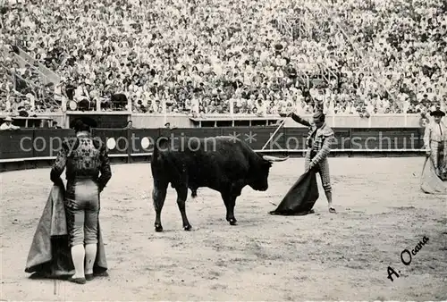 AK / Ansichtskarte Stierkampf Toros Toreros Vicente Barrera Kat. Sport