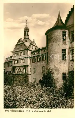 AK / Ansichtskarte Bad Mergentheim Schloss Kat. Bad Mergentheim