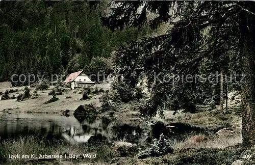 AK / Ansichtskarte Arber Idyll am Kleinen Arbersee