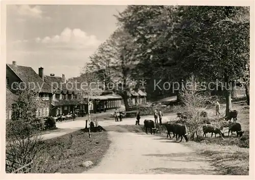 AK / Ansichtskarte Bad Harzburg Molkenhaus Kat. Bad Harzburg