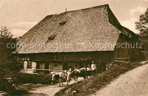 AK / Ansichtskarte Furtwangen Schwarzwaldbauernhof Kuehe Landwirtschaft Kupfertiefdruck Kat. Furtwangen im Schwarzwald